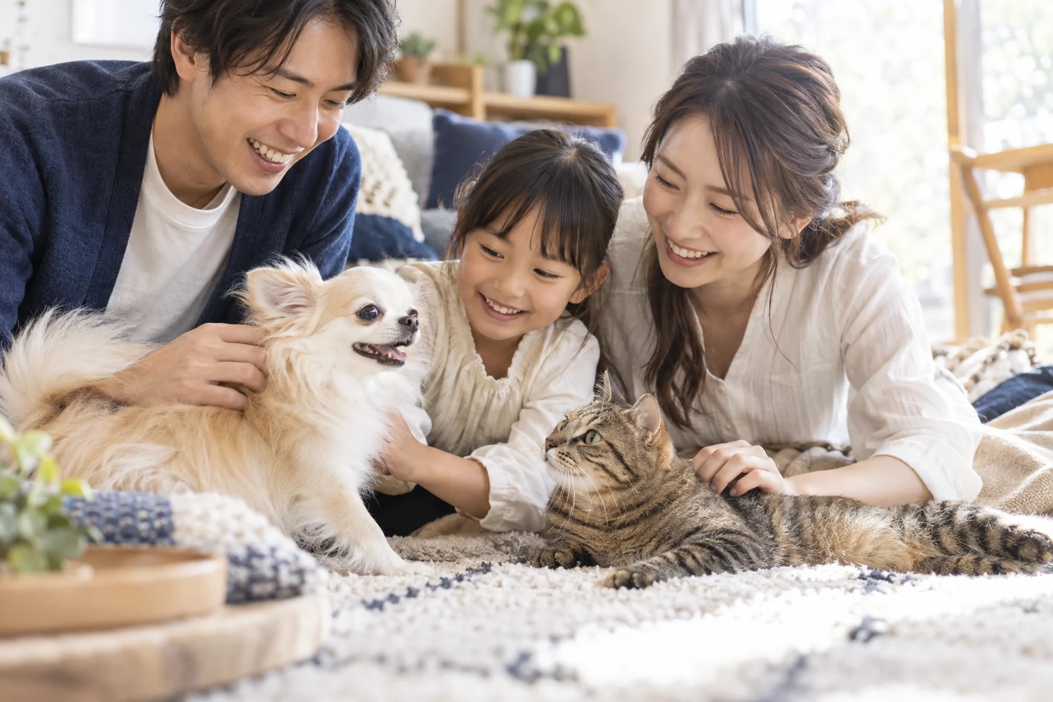このテーマを伝えるイメージ