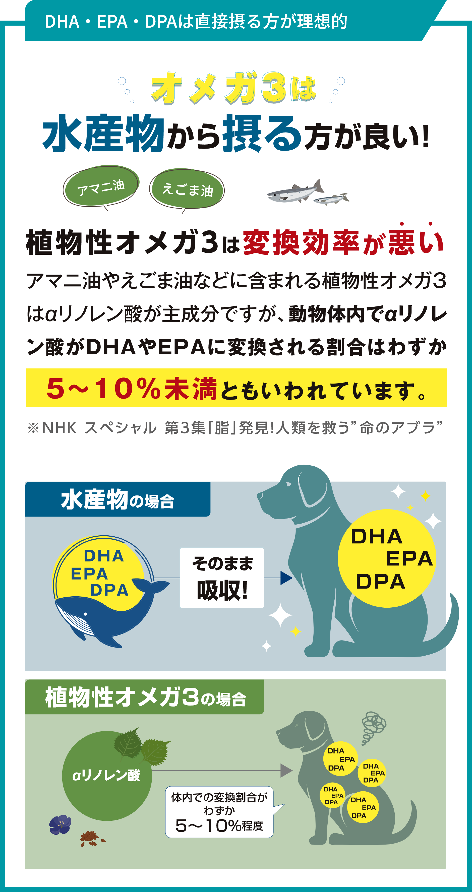 DHA・EPA・DPAは直接摂る方が理想的