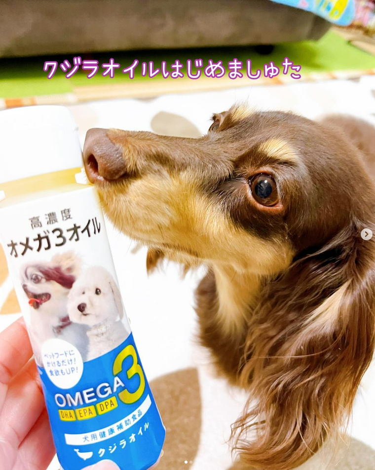オメガ３オイル　690g（100g＋100g＋サンプル490g）　クジラオイル 高濃度オメガ3オイル くじらオイル | Monamour SELECT